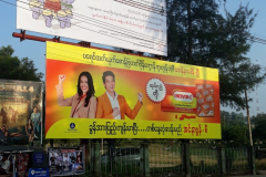 RIPE-JCSDO-output-pic-mon-state-billboard-1-768x1024