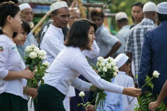 White-rose-campaign