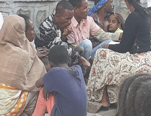 Ethnic federalism and internal displacement in Gondar