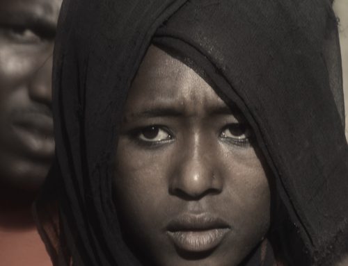 Ethiopia and Eritrea’s apocalyptic campaign on the last Nilotic people in Northern Ethiopia: the Kunama
